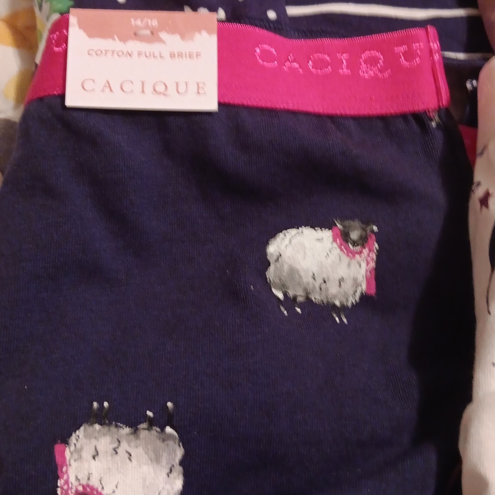Panties - Picture 3 of 6